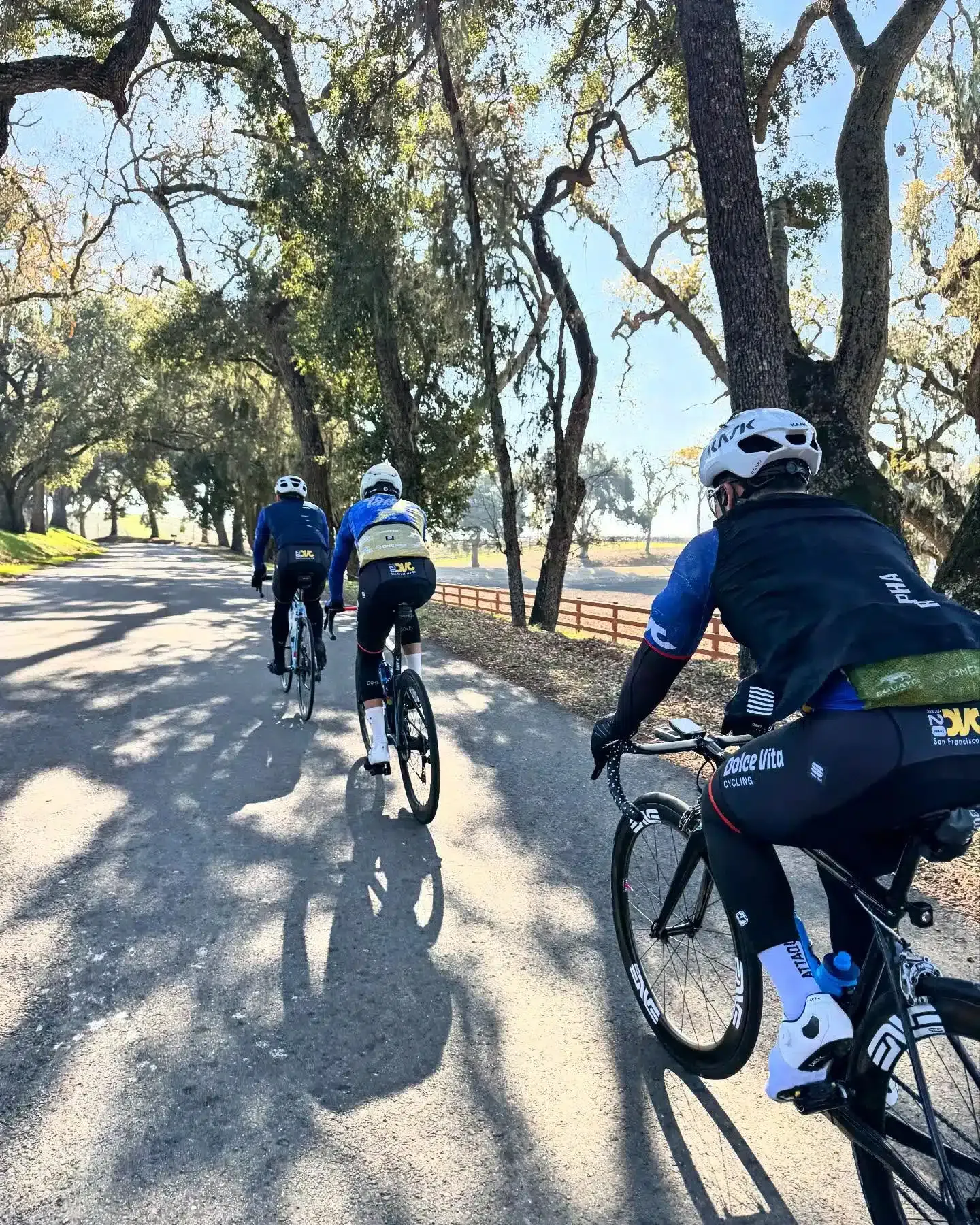 Winter Team Camp. Starting the season off right with some good rides and good times! The early team camp is a great way to get everyone together to bond for the log season ahead. We couldn’t do without the generous support of our sponsors:

@sportful @sfitalianathleticclub @equatorcoffees @poggio_labs @achieveptc @pinkpuffinbicycles @osmonutrition @jkbrkb  #onewealthadvisors