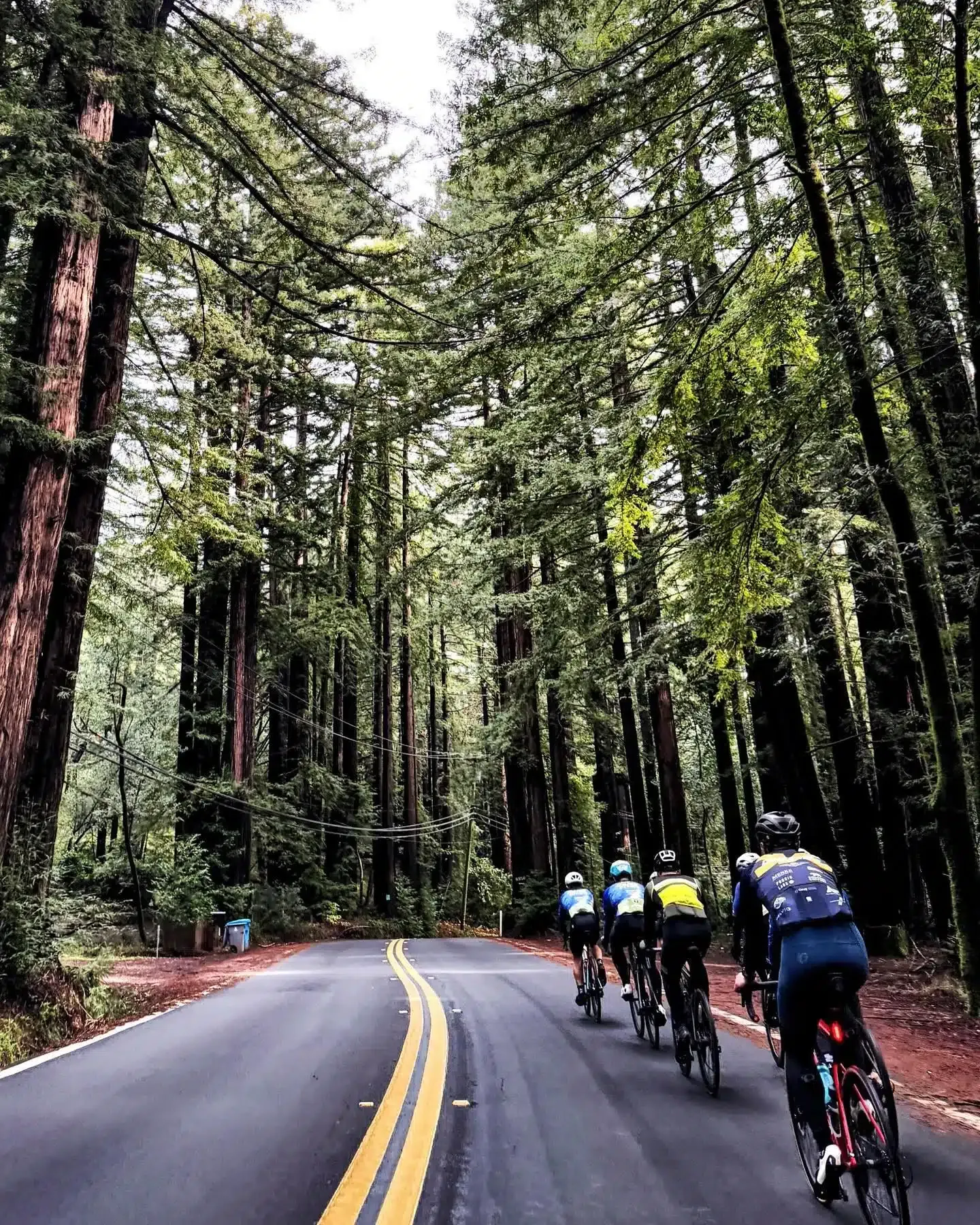 [ Winter can be the toughest season to ride because of the cold, but with the right company and scenery makes it all worthwhile. ]

How’s your winter training going so far? 

•
•
•
•
•
•
@sportful @sfitalianathleticclub @equatorcoffees @poggio_labs @achieveptc @tripsforkidsmarin @sage.realestategroup @marinservicecourse @jkbrkb  #onewealthadvisors #dolcevitacycling #racingteam